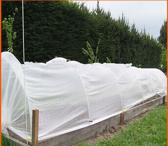 Greenhouse with fiberglass Rods